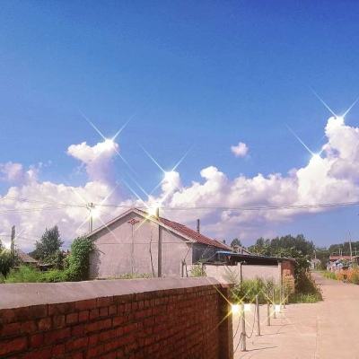西游伏妖手机游戏(暂未上线)v1.0 官方安卓版